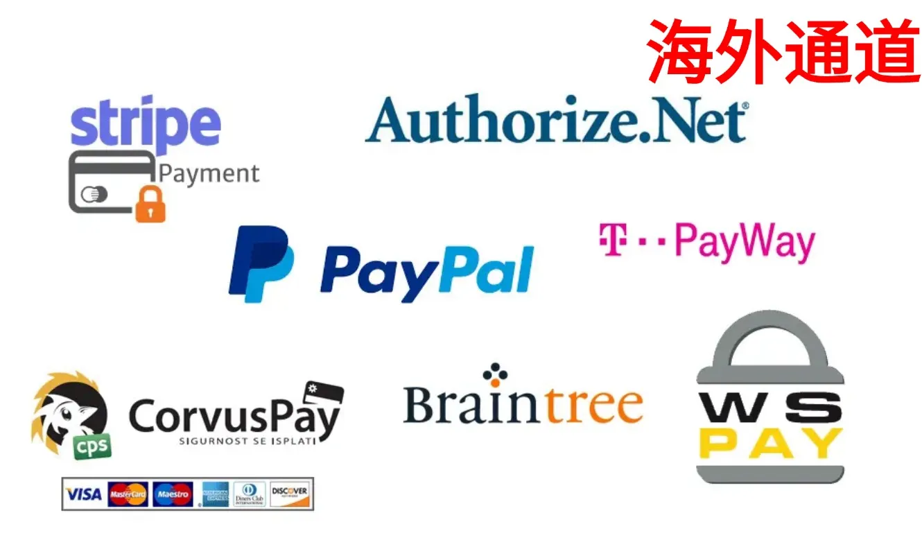 海外支付通道
