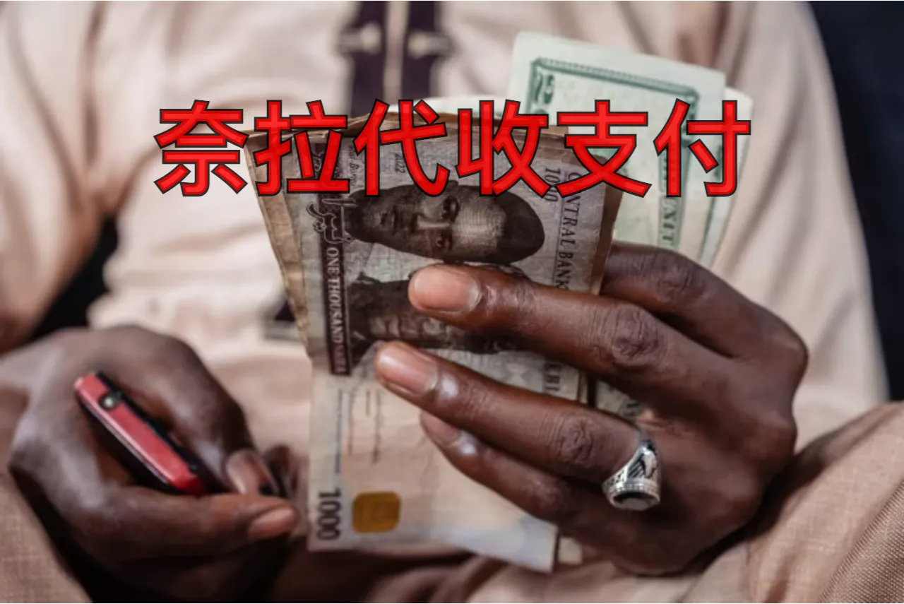 奈拉代收支付