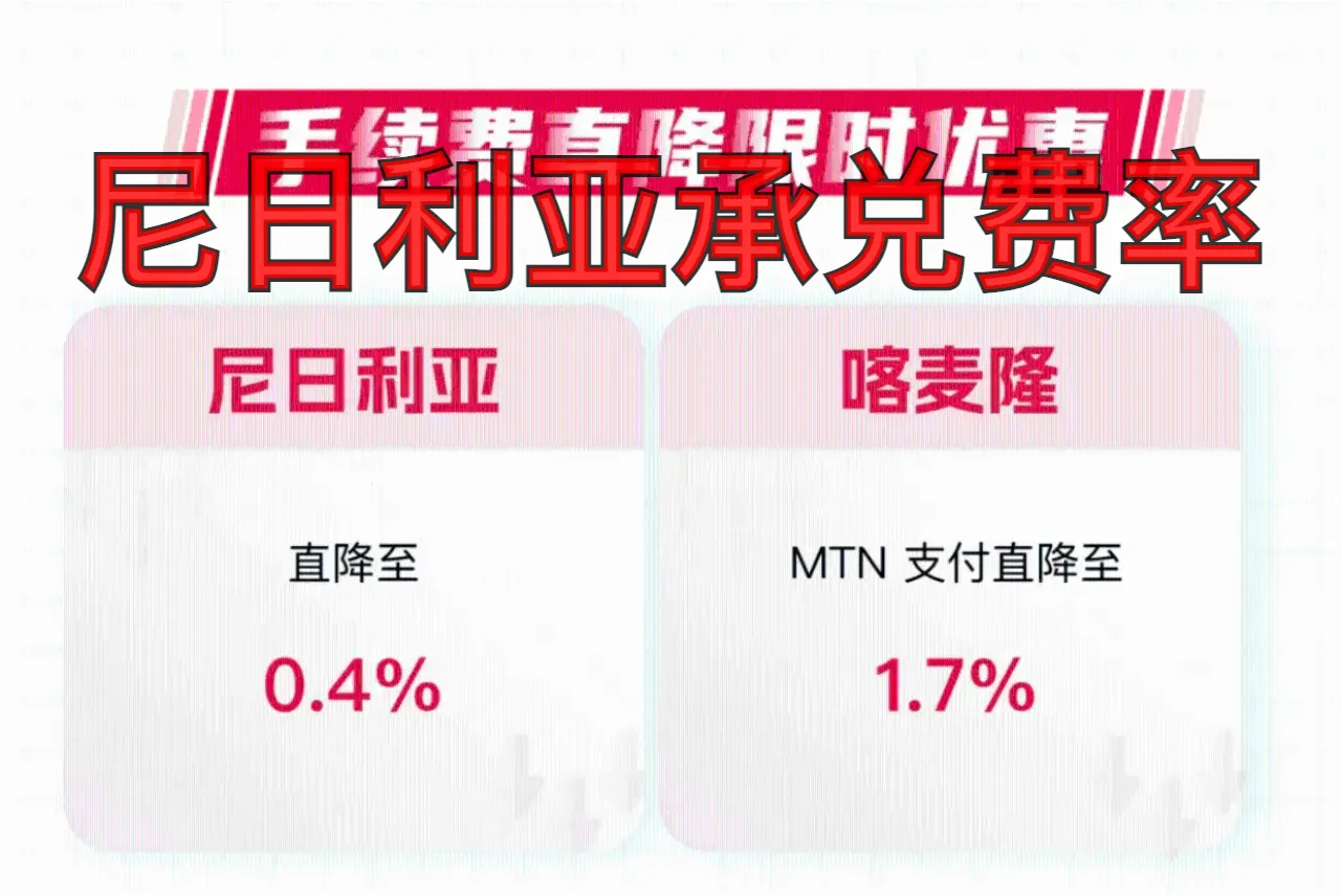 尼日利亚承兑费率