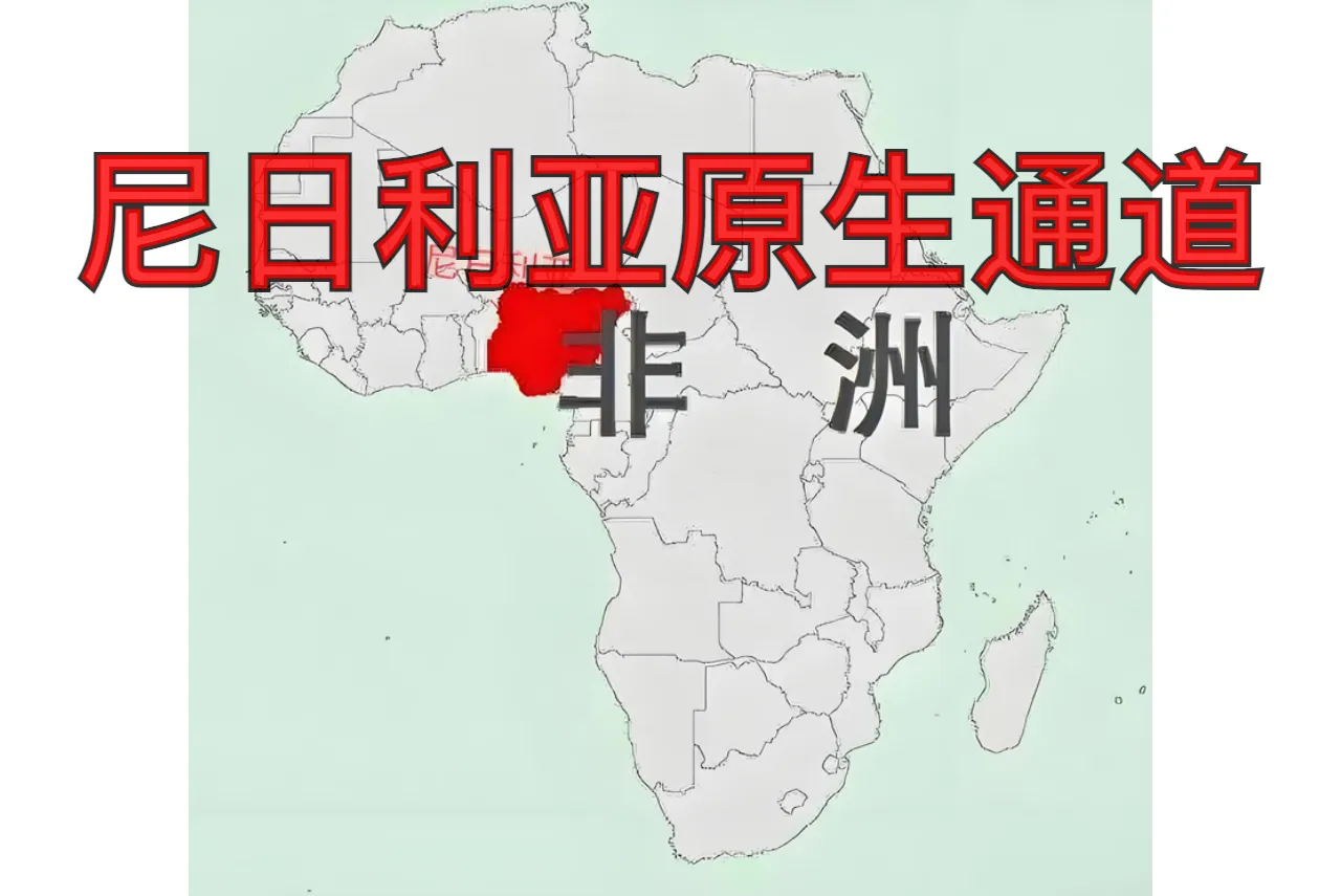 尼日利亚原生通道