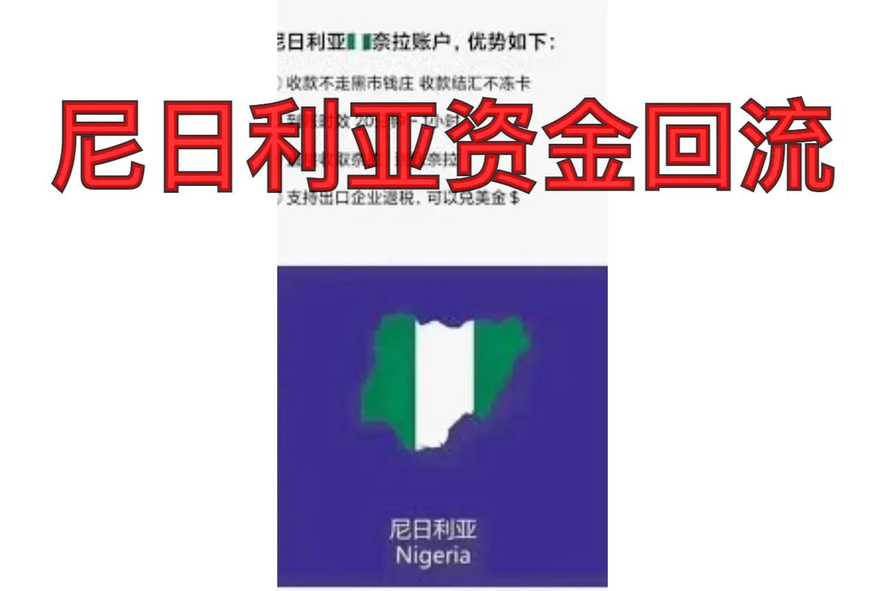 尼日利亚资金回流